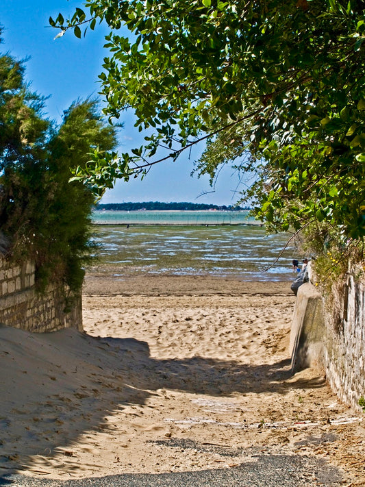 Plage Ronce-Les-Bains